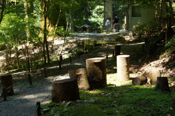 camp27 (160).jpg